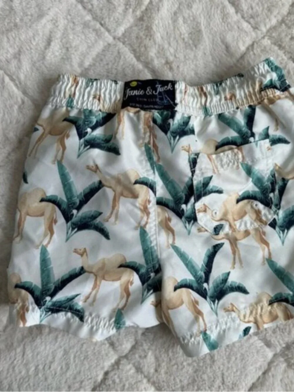 Janie & Jack | Boys Poplin Camel Print Shirt & Swim Trunks | Size 2T/18-24 Month